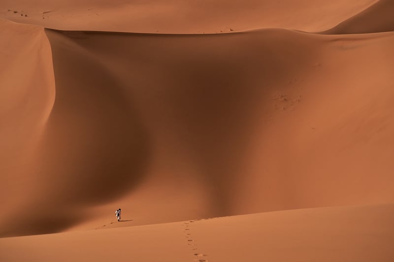 Desert Oasis
