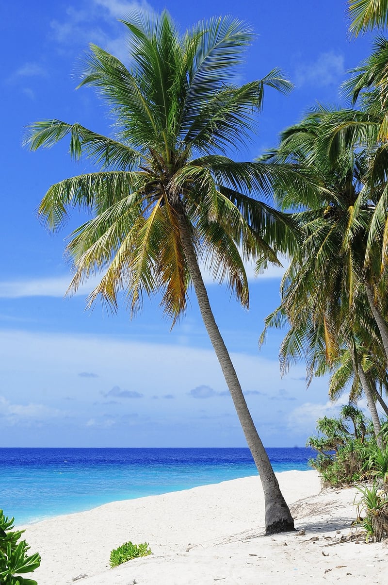 Island Hideaway